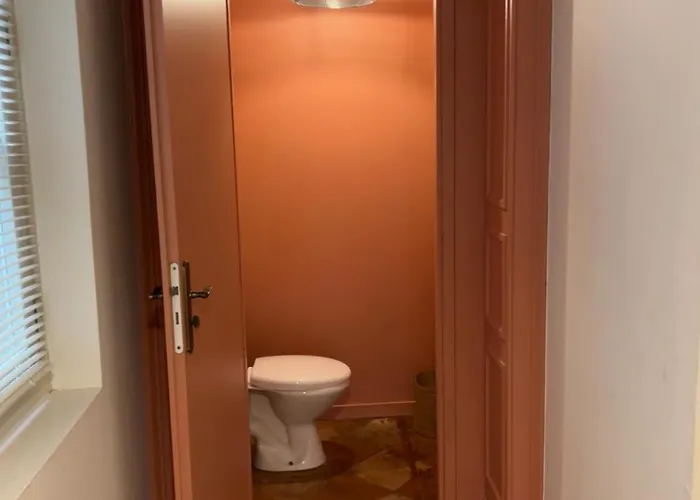 아파트 Joli Tres Calme En Hypercentre, A Cote Du Tram