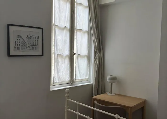 아파트 Joli Tres Calme En Hypercentre, A Cote Du Tram